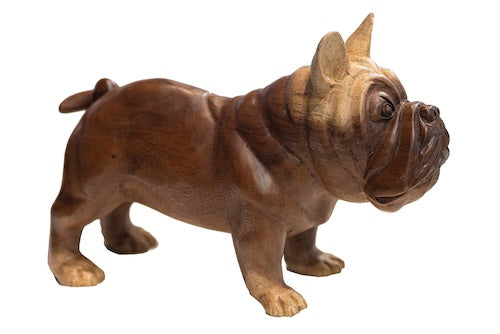 S Suar Dog Accessories